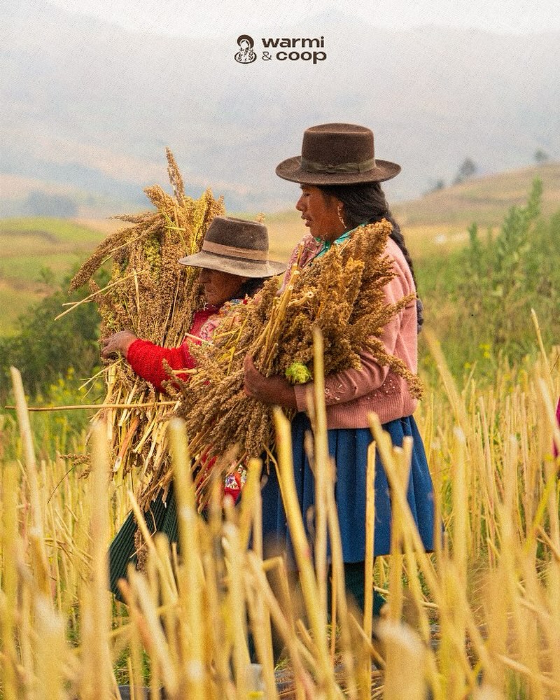 Warmi & Coop — productoras de quinua y granos andinos